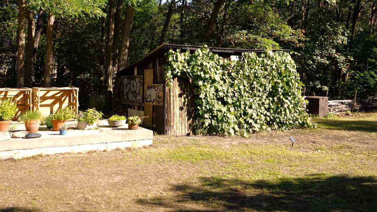  Kl. Kräutergarten, Geräteschuppen mit Wein 