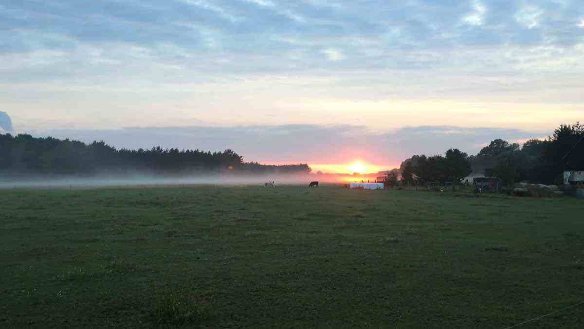  Fast jeden Tag ein schöner Himmel. 